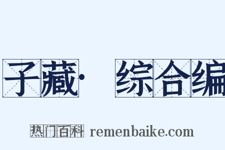 子藏·综合编是什么意思的图片